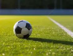 狗狗币,引领宠物经,济潮流,星空体育平台,星空体育官方网站,星空体育登录入口,星空体育app下载