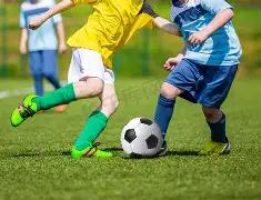 重金属检测,仪守护餐桌,严防铅镉铬,星空体育平台,星空体育官方网站,星空体育登录入口,星空体育app下载