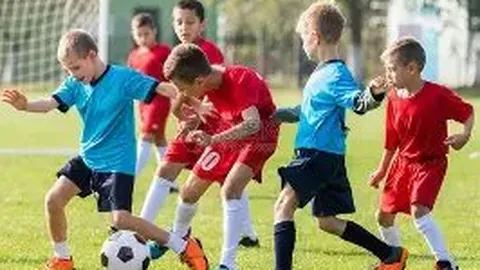 星空体育 资讯 135510 0bu