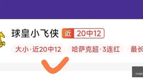 最新战报：自由队8胜7负对决飞马，全面解析对决亮点